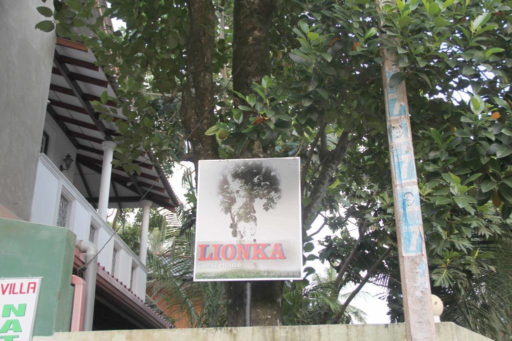 Lionka Guesthouse Mirissa Dış mekan fotoğraf
